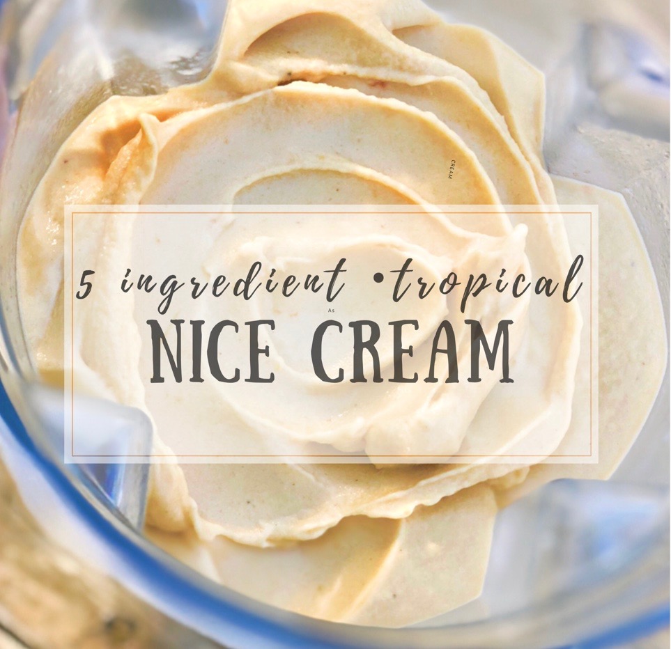5 Ingredient Tropical Nice Cream